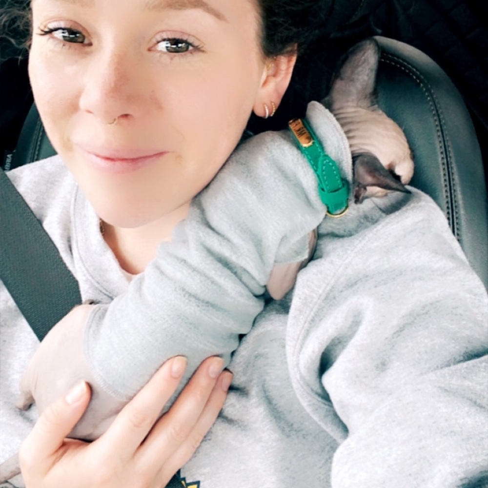 Kitten Sweater